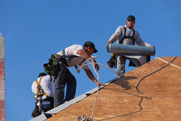 Best Storm Damage Roof Repair  in Reisterstown, MD